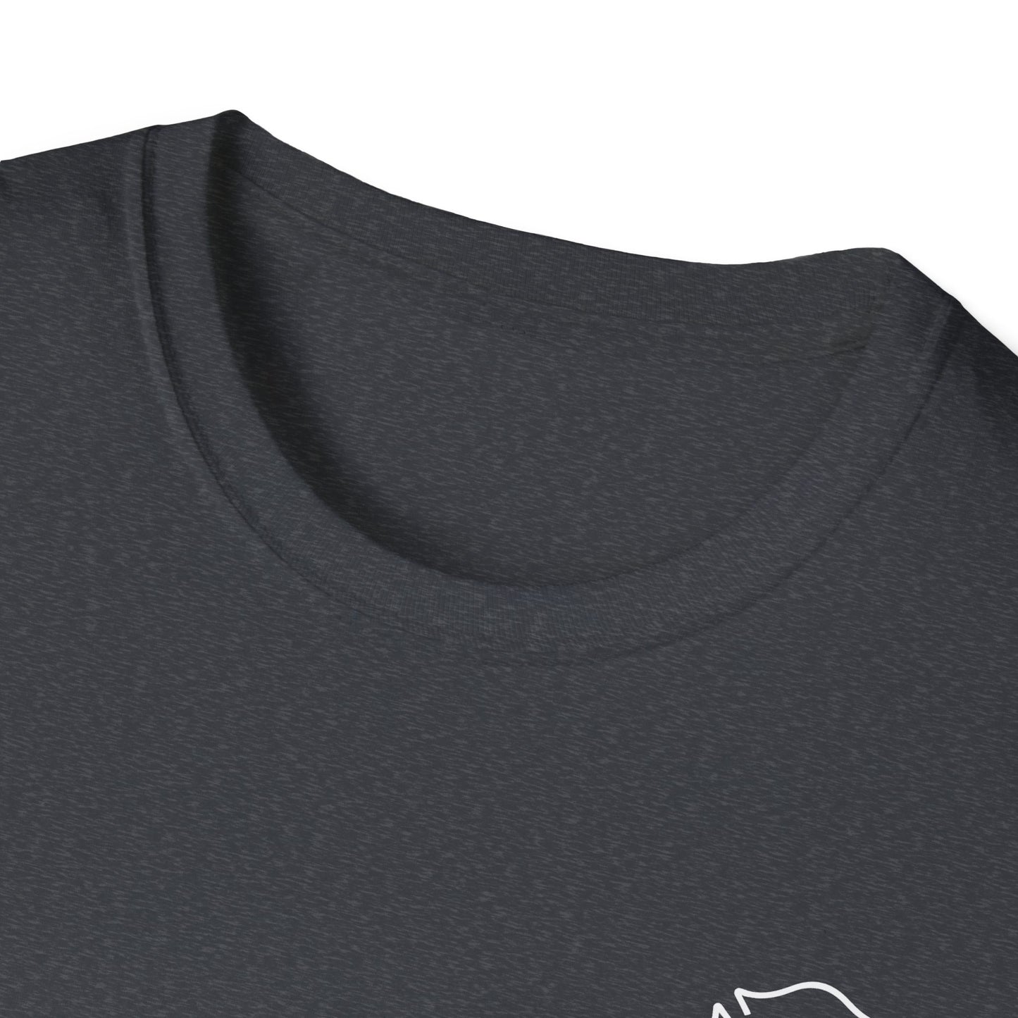 Fighting Demons Softstyle T-Shirt